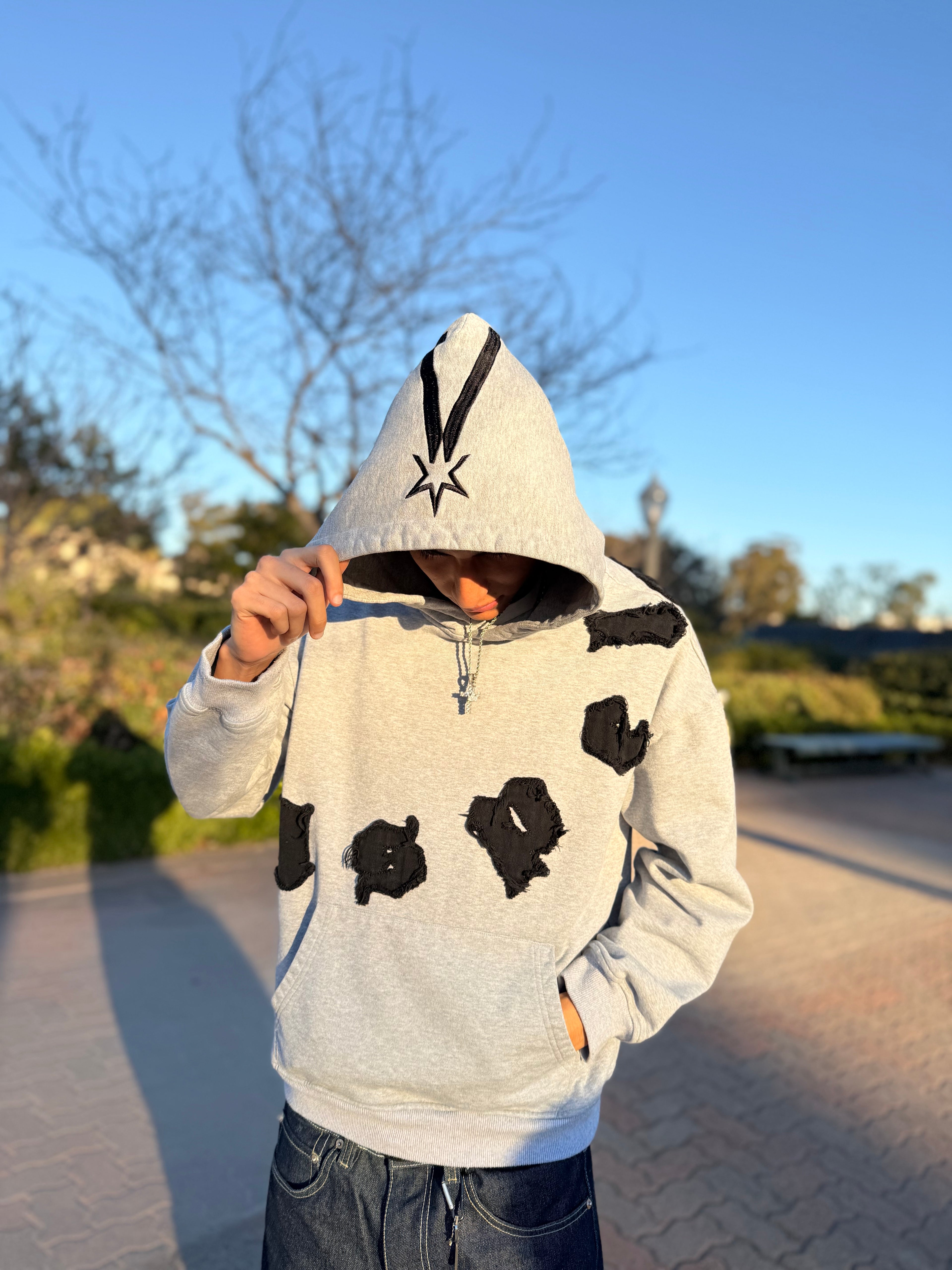 Aspel Estelle Gray Hoodie